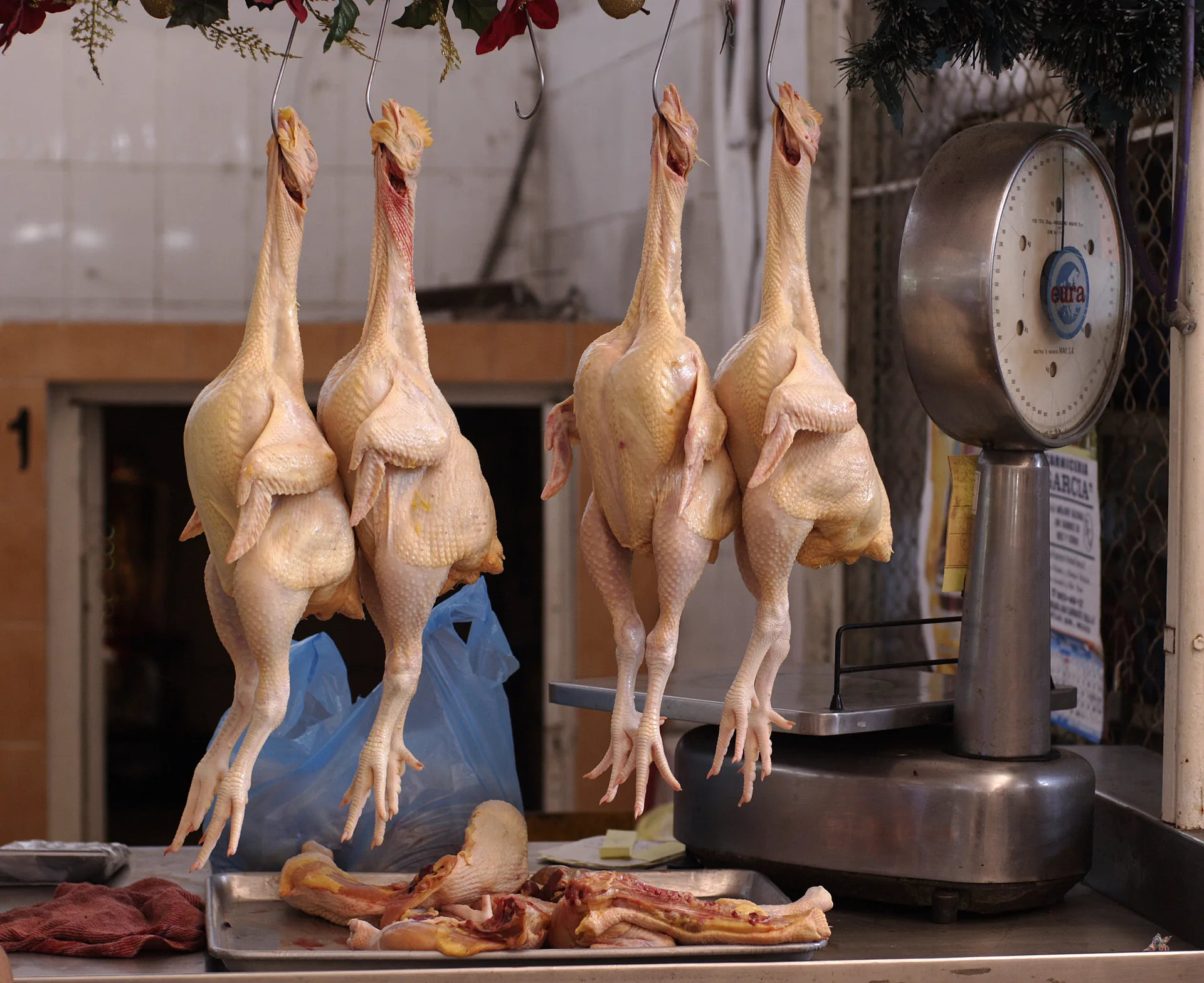 Dehydrated chicken