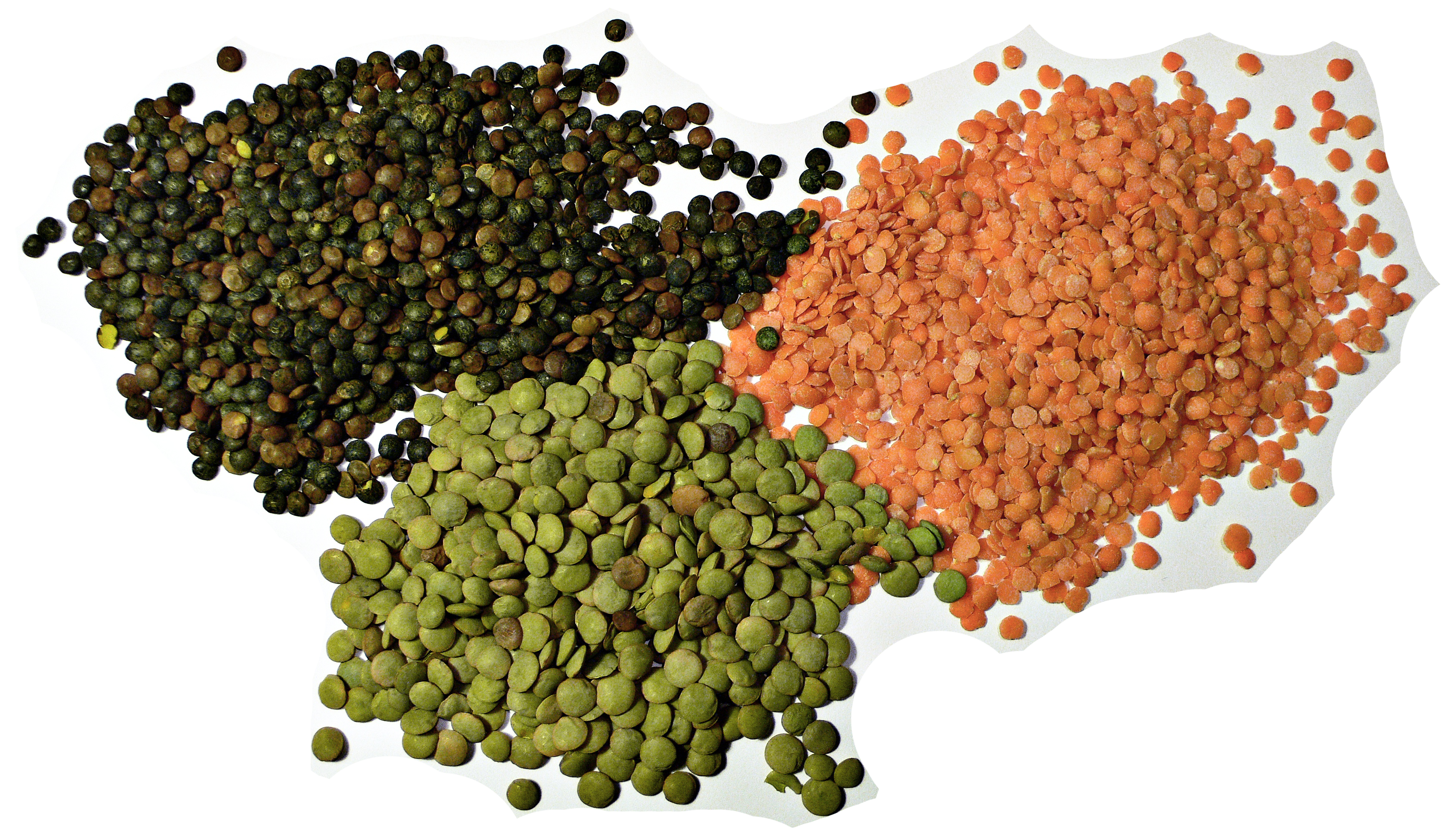 Lentils
